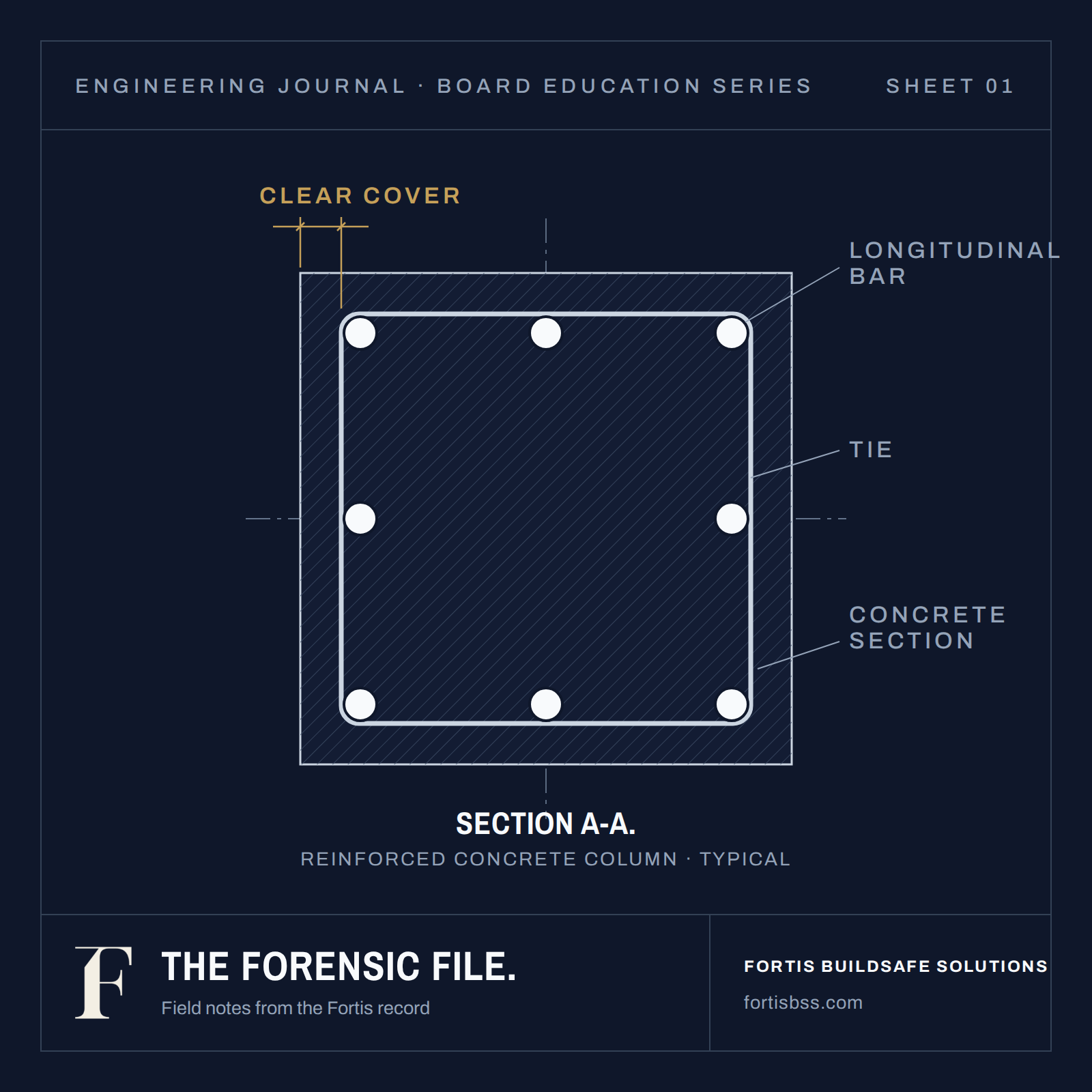 Engineering section drawing of a reinforced concrete column with longitudinal bars, tie and clear cover, from the Fortis Forensic File
