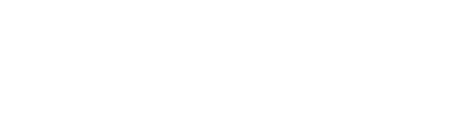 fortis buildsafe solutions